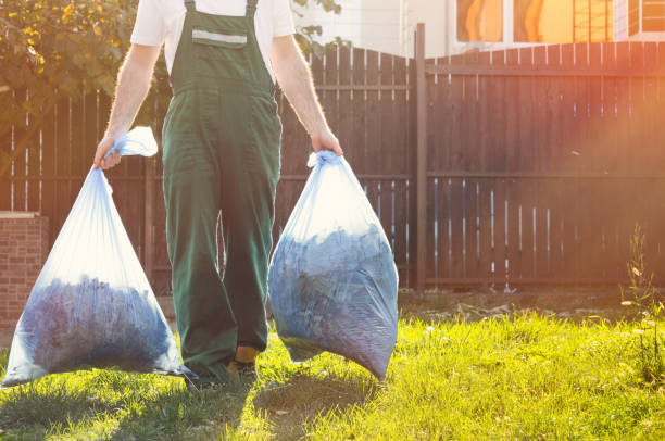 Best Electronics Removal Services  in Wayne, IL